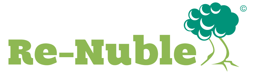 re_nuble_logo_large_transparent_coperight re_nuble_logo_large_transparent_coperight