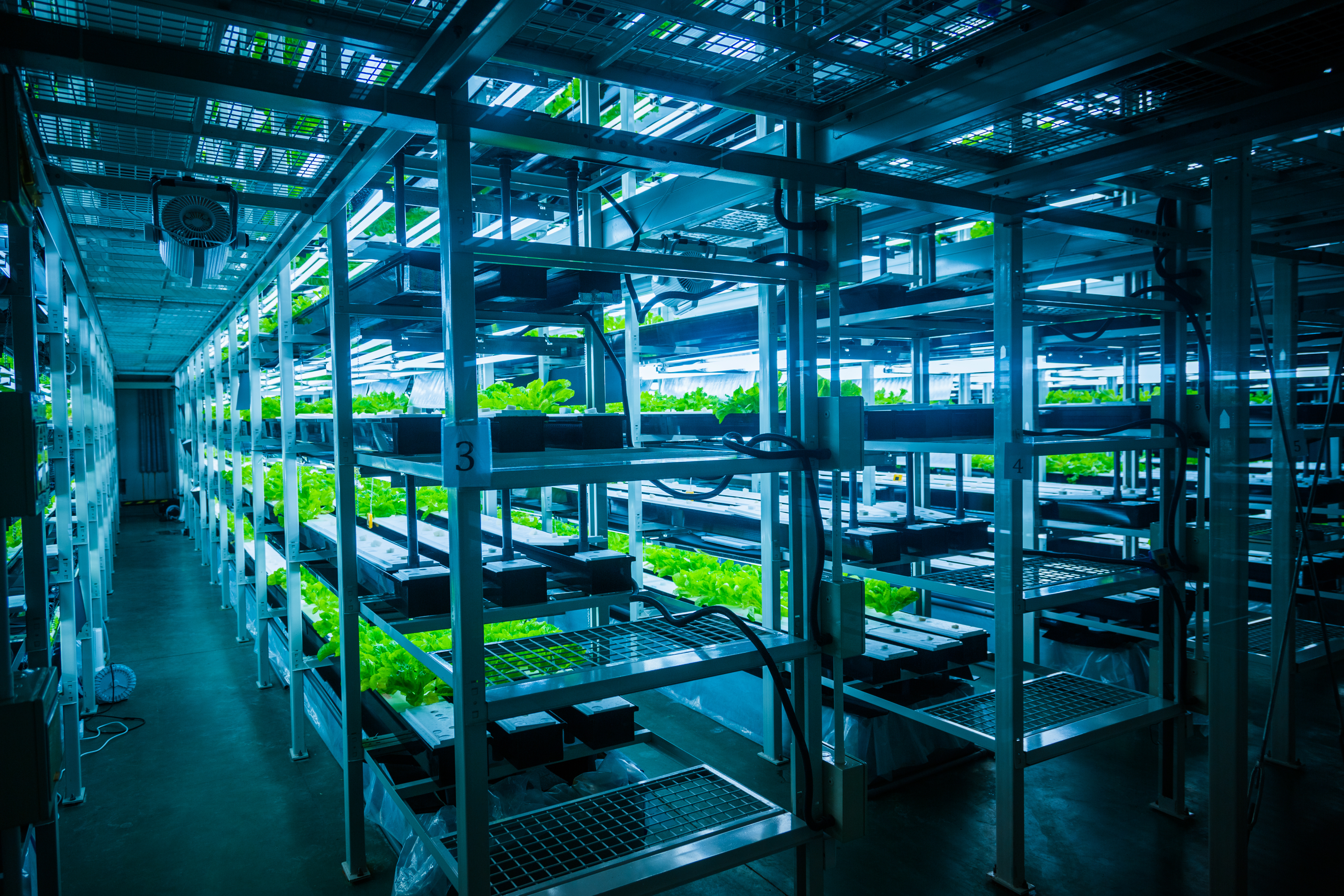 Indoor vertical farm